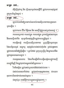 cnrp pc constitution 2